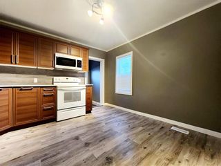 Photo 10: 513 Bannerman Avenue in Winnipeg: North End Residential for sale (4C)  : MLS®# 202321663