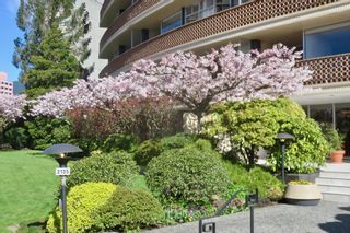 Photo 31: 203 2135 ARGYLE Avenue in West Vancouver: Dundarave Condo for sale in "THE CRESCENT" : MLS®# R2713915