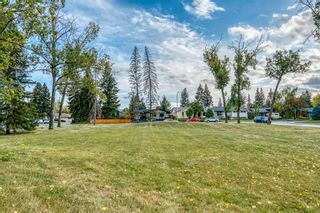 Photo 49: 12028 10 Street SE in Calgary: Lake Bonavista Detached for sale : MLS®# A1258529