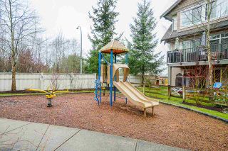 Photo 23: 32 8250 209B Street in Langley: Willoughby Heights Townhouse for sale in "Outlook" : MLS®# R2530590