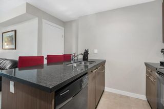 Photo 10: 166 300 Marina Drive: Chestermere Apartment for sale : MLS®# A2024091