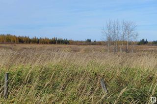 Photo 14: RR214 TWP 624: Rural Thorhild County Vacant Lot/Land for sale : MLS®# E4317144
