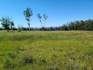 Photo 4: On Range Road 52: Rural Parkland County Commercial Land for sale : MLS®# A1252782