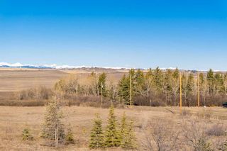 Photo 16: 418001 Highway 783: Rural Foothills County Detached for sale : MLS®# A2122401