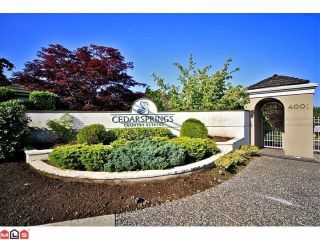 Photo 10: 102 4001 OLD CLAYBURN Road in Abbotsford: Abbotsford East Townhouse for sale in "CEDAR SPRINGS" : MLS®# F1306251