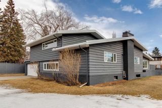 Photo 47: 1316 34 Avenue SW in Calgary: Elbow Park Detached for sale : MLS®# A2124775