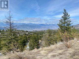 Photo 10: 300 PEREGRINE Place in Osoyoos: Vacant Land for sale : MLS®# 10308201
