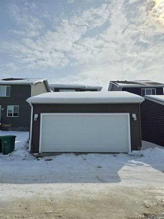Photo 33: 160 Chelsea Glen: Chestermere Detached for sale : MLS®# A2119120