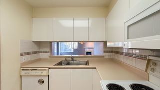 Photo 11: 302 2438 HEATHER Street in Vancouver: Fairview VW Condo for sale (Vancouver West)  : MLS®# R2859229