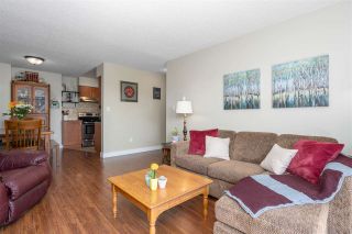 Photo 5: 401 1210 PACIFIC Street in Coquitlam: North Coquitlam Condo for sale in "Glenview Manor" : MLS®# R2500348