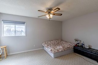 Photo 19: 56 Martingrove Way NE in Calgary: Martindale Detached for sale : MLS®# A2120551