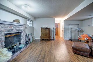 Photo 15: 139 Castledale Way NE in Calgary: Castleridge Detached for sale : MLS®# A2097487
