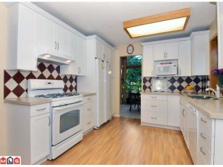 Photo 19: 18157 21A Avenue in Surrey: Hazelmere House for sale in "Redwood Park" (South Surrey White Rock)  : MLS®# F1013133