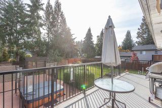 Photo 17: 21616 EXETER Avenue in Maple Ridge: West Central House for sale : MLS®# R2318244
