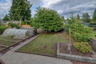 Photo 18: 685 BLUE MOUNTAIN Street in Coquitlam: Central Coquitlam House for sale : MLS®# R2283086