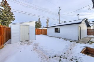 Photo 47: 308 Whitney Crescent SE in Calgary: Willow Park Detached for sale : MLS®# A2013135