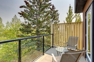 Photo 28: 3636 8A Street SW in Calgary: Elbow Park Detached for sale : MLS®# A2050208