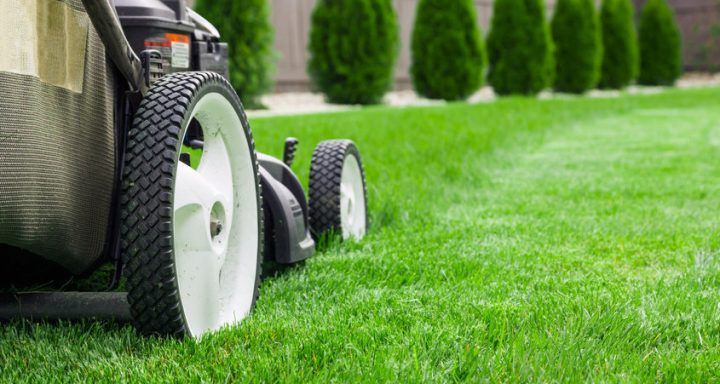 4 Lawn Care Tips For a Lush Spring