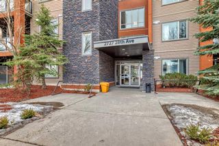 Main Photo: 113 2727 28 Avenue SE in Calgary: Dover Apartment for sale : MLS®# A2126314