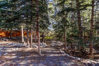 Photo 29: 248 Grizzly Crescent: Canmore Detached for sale : MLS®# A2087844