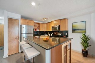 Photo 9: 302 317 19 Avenue SW in Calgary: Mission Apartment for sale : MLS®# A2128598