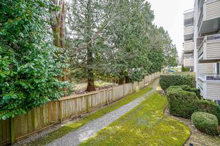 Photo 25: 203 9644 134 Street in Surrey: Whalley Condo for sale in "PARKWOODS - FIR" (North Surrey)  : MLS®# R2674594