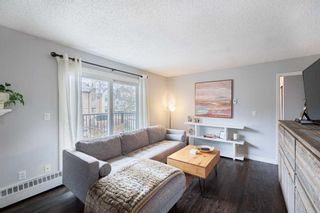 Photo 7: 316 635 4 Avenue NE in Calgary: Bridgeland/Riverside Apartment for sale : MLS®# A2130188