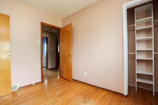 Photo 21: 141 Portland Avenue in Winnipeg: Residential for sale (2D)  : MLS®# 202114655