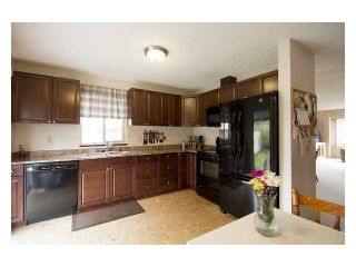Photo 9: 1182 SHELTER Crescent in Coquitlam: New Horizons House for sale : MLS®# V1062918