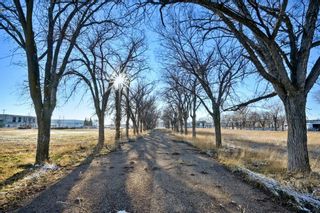 Photo 6: LOT 1 TIGERMOTH Crescent N in Rural Willow Creek No. 26, M.D. of: Rural Willow Creek M.D. Commercial Land for sale : MLS®# A2092326