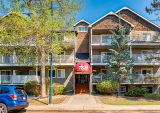 Main Photo: 409 732 57 Avenue SW in Calgary: Windsor Park Apartment for sale : MLS®# A2071217