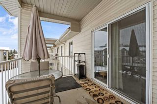 Photo 32: 2316 2600 66 Street NE in Calgary: Pineridge Apartment for sale : MLS®# A2122941