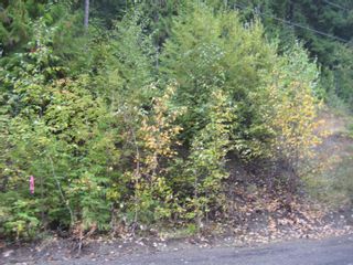 Photo 5: 12 Vickers Trail in Anglemont: Land Only for sale : MLS®# 10055802
