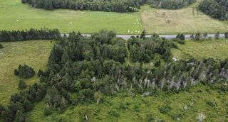 Photo 3: Lot Ross Creek Road in Canning: Kings County Vacant Land for sale (Annapolis Valley)  : MLS®# 202316722