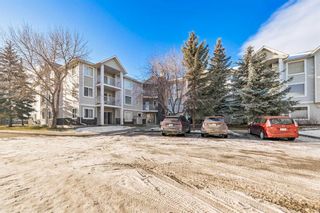 Photo 1: 1110 1110 Valleyview Park SE in Calgary: Dover Apartment for sale : MLS®# A2099354