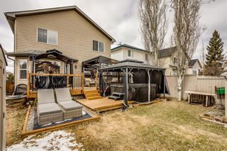 Photo 35: 149 Shannon Square SW in Calgary: Shawnessy Detached for sale : MLS®# A1209155