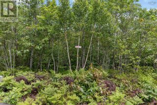 Photo 8: Lot 7 Maple Ridge Drive in White Point: Vacant Land for sale : MLS®# 202315168