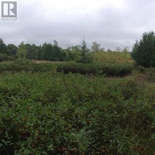 Photo 35: 2100 540 Highway in Little Current: Vacant Land for sale : MLS®# 2110210