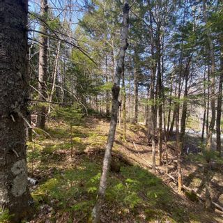 Photo 3: Lot 9 Old Trunk Highway 3 in Hebbs Cross: 405-Lunenburg County Vacant Land for sale (South Shore)  : MLS®# 202300314