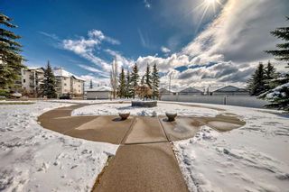 Photo 28: 411 55 Arbour Grove Close NW in Calgary: Arbour Lake Apartment for sale : MLS®# A2123411