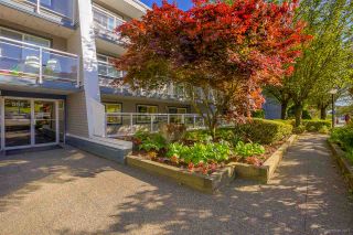 Photo 2: 217 550 ROYAL Avenue in New Westminster: Downtown NW Condo for sale in "HARBOURVIEW" : MLS®# R2169710