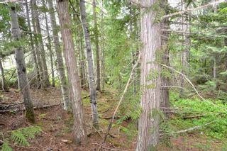 Photo 10: DL 1335A 37 Highway: Kitwanga Land for sale (Smithers And Area (Zone 54))  : MLS®# R2471833