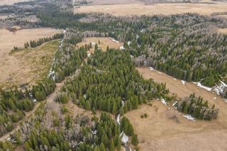 Photo 16: 64049 (A&B) Highway 54: Rural Clearwater County Agriculture for sale : MLS®# A1209840