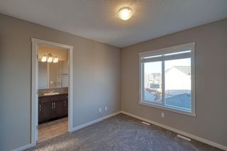 Photo 24: 20 Cornerbrook Gate NE in Calgary: Cornerstone Semi Detached (Half Duplex) for sale : MLS®# A1258791