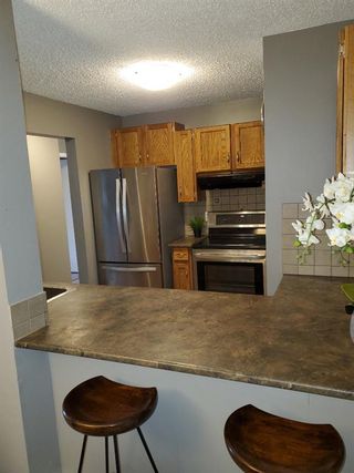 Photo 19: 205 511 56 Avenue SW in Calgary: Windsor Park Apartment for sale : MLS®# A1097752