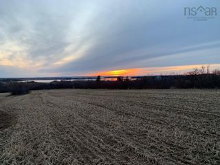 Photo 18: 11.6 acres East Tracadie Road in East Tracadie: 302-Antigonish County Vacant Land for sale (Highland Region)  : MLS®# 202209014