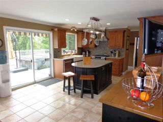 Photo 3: 20475 1ST AVENUE in Langley: Campbell Valley House for sale : MLS®# R2036160