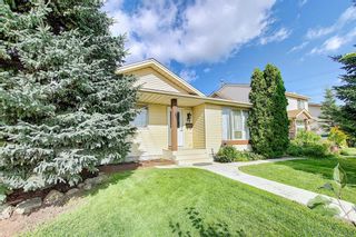 Photo 50: 19 TEMPLEBY Road NE in Calgary: Temple Detached for sale : MLS®# A1027919