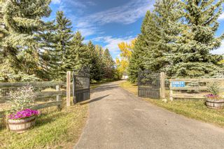 Photo 3: 40024 306 Avenue E: Rural Foothills County Detached for sale : MLS®# A1164654