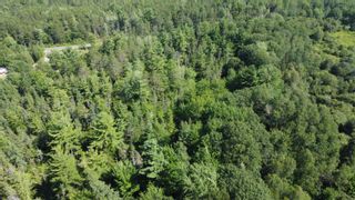 Photo 8: Lot 2 1215 Middle Road in North Williamston: Annapolis County Vacant Land for sale (Annapolis Valley)  : MLS®# 202310433